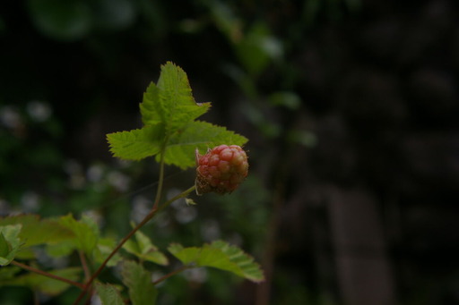 20210605_052646