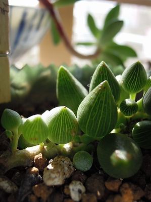 201307114193