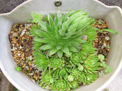 49