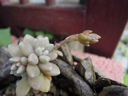 2019050417904
