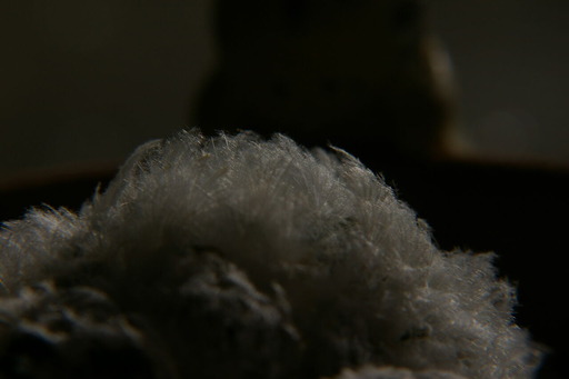 20200524_064518