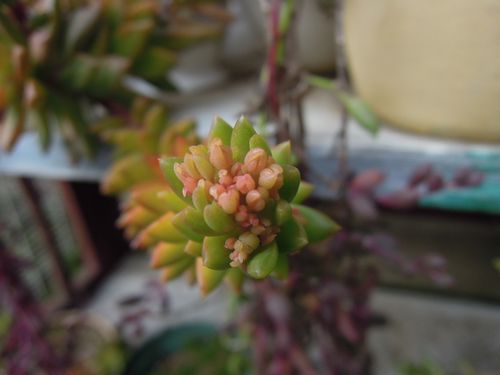 1_DSCN5756