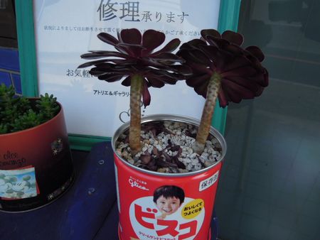201406045951