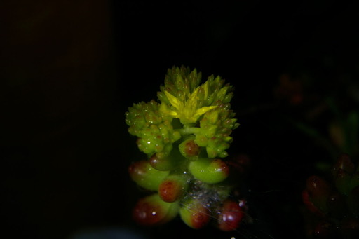20200520_045731