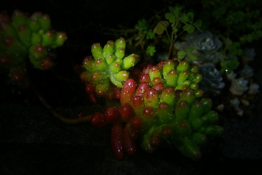 20200520_045939