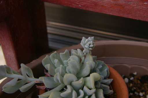 20200910_062359