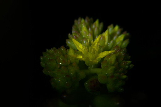 20200520_045740