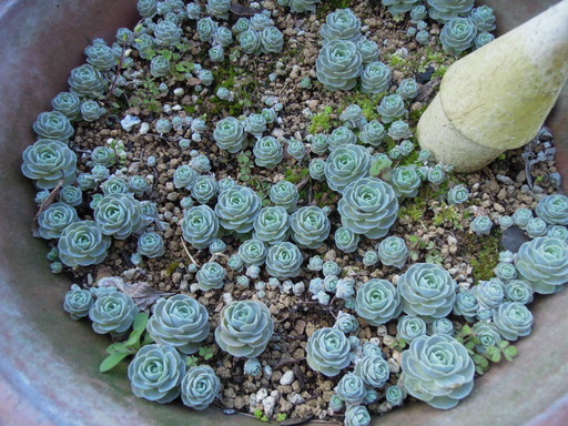 20200319_065032