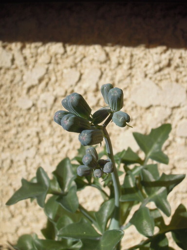 20201114_094314