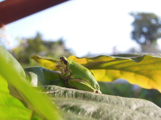 2017080712287
