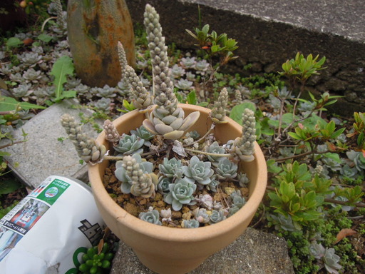 20201004_134318