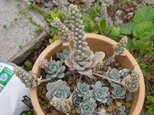 20201004_134327
