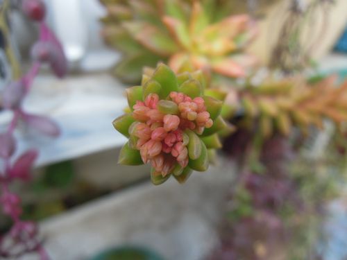 1_DSCN5757