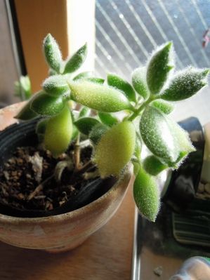 201301203131