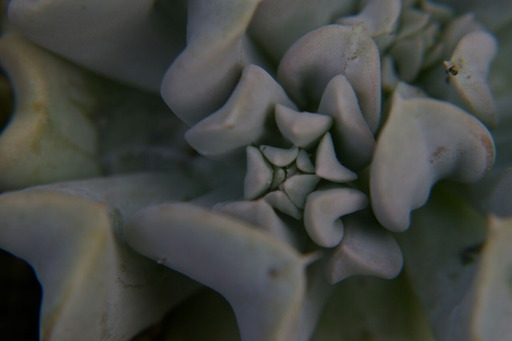 20200627_054959