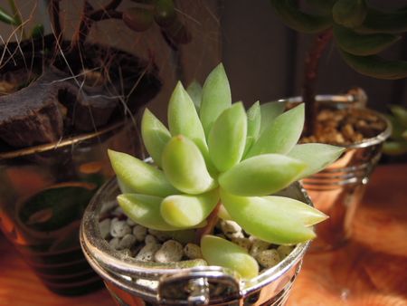 201509148135