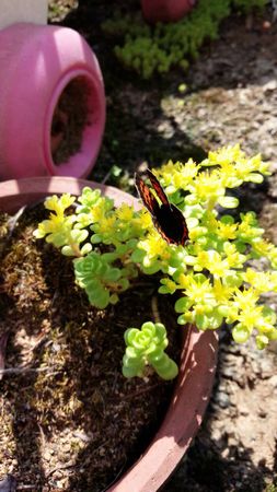 20140616150837