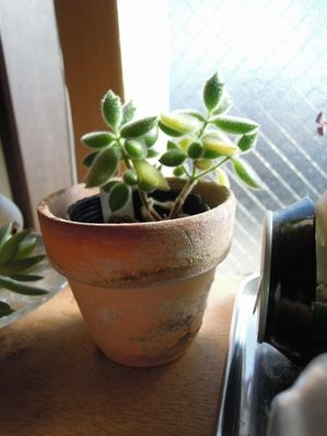 201301203130