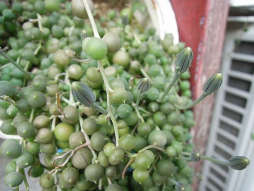 1_DSCN5760