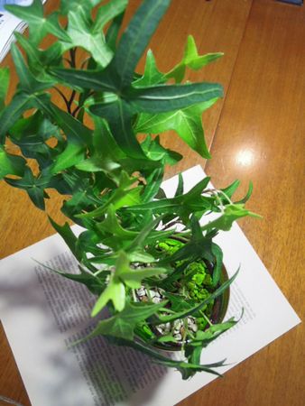 201406286159