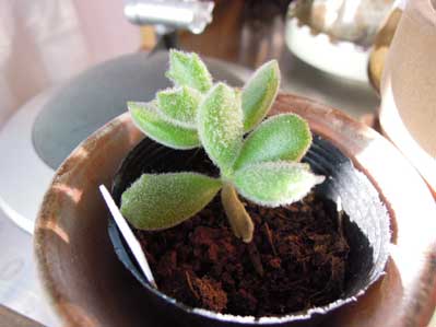 20120209_1814
