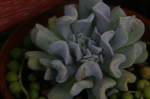 20200627_055006