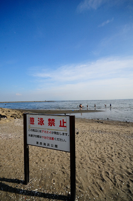 リハビリスナップ３ 葛西臨海公園海開き 裏之角 撮影日記ログ置き場
