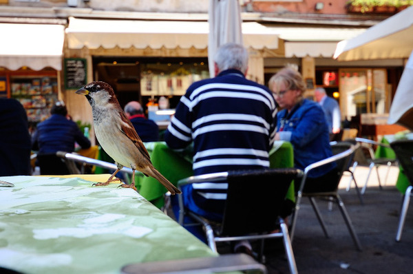 italia2015_venezia (145)_edited-1