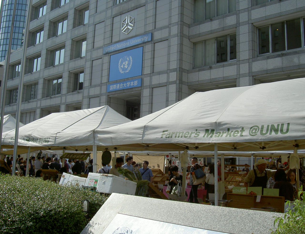 青山学院初等部周辺 お食事事情 オーバルプラザ編 世田谷日和 コチラ居候猫情報局 青山学院初等部周辺 お食事事情 オーバルプラザ編 世田谷日和 コチラ居候猫情報局