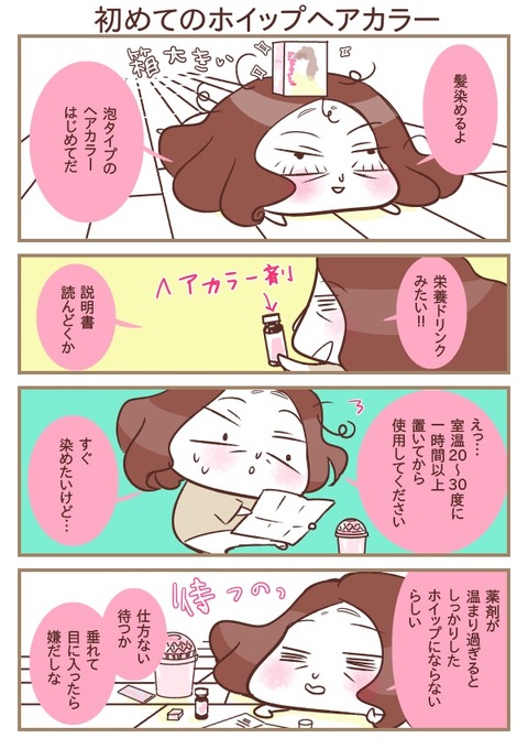 初めてのホイップヘアカラー 第1話 4話 スティーブンノルカラー 初めてのホイップヘアカラー 第1話 4話 スティーブンノルカラー