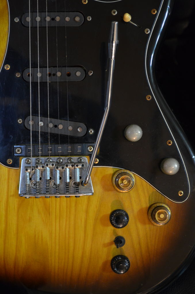 ROLAND G-505 GR GUITAR SYNTHESIZER CONTROLLER : ギターについて