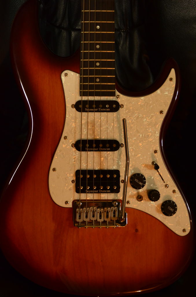 Elioth S507 : ギターについて真面目に考えるBrog