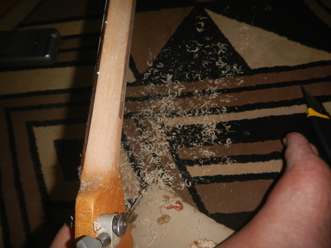 DSCN7195