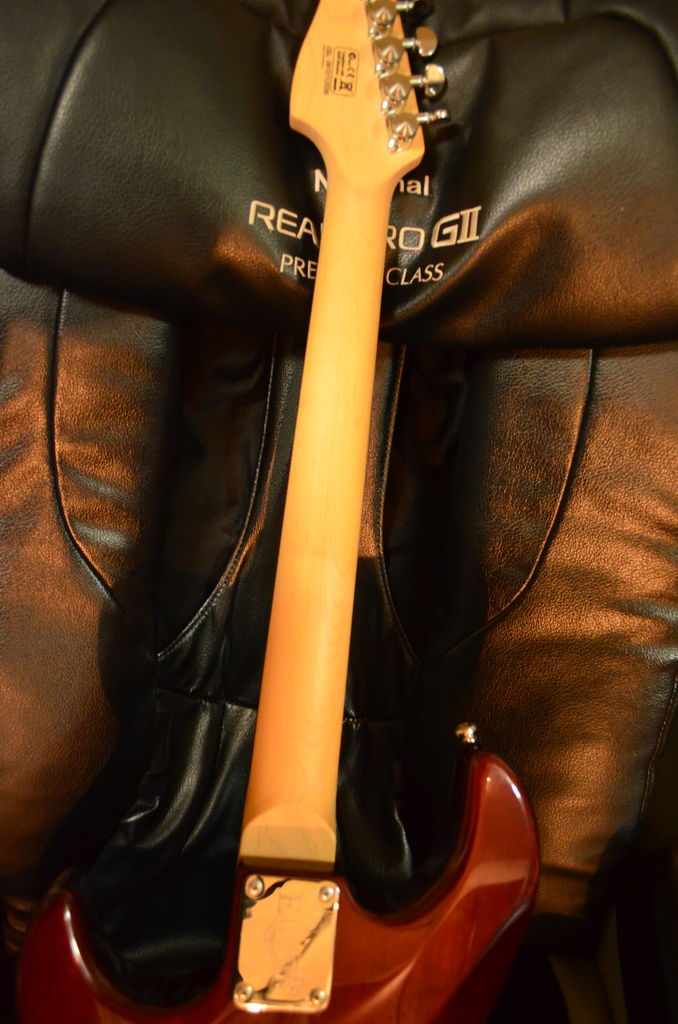 Elioth S507 : ギターについて真面目に考えるBrog