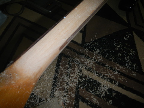 DSCN7196