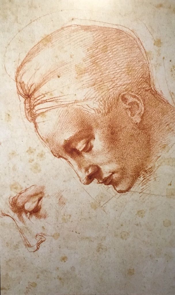 レオナルド ミケランジェロ展 1 2 Art De 再起 闘病曼荼羅