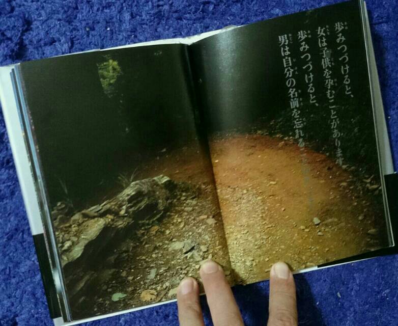 ☆1000円引き☆新品未使用☆「死にいたる美術　メメント・モリ」図録 メメント・モリ 死にいたる美術 memento mori: Visions of Death
