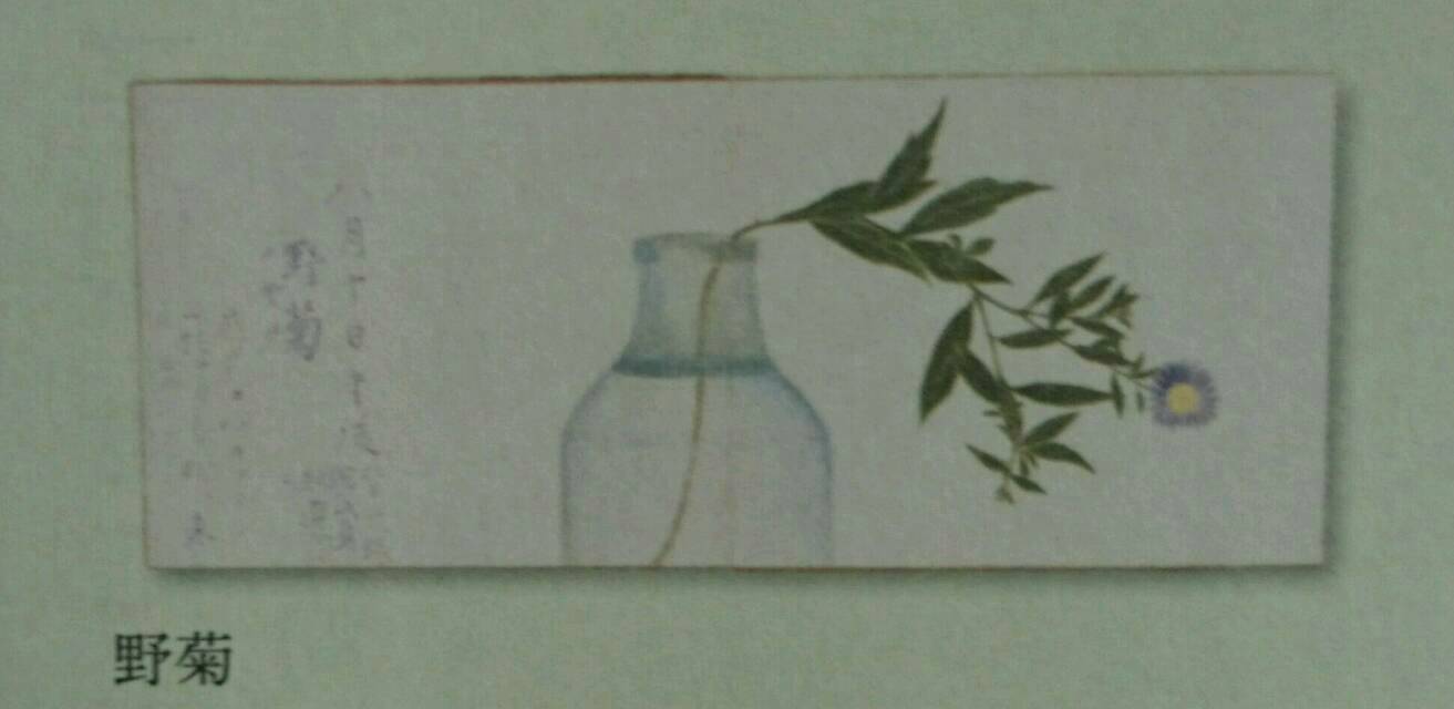 根岸の子規庵を訪ねる Art De 再起 闘病曼荼羅 根岸の子規庵を訪ねる Art De 再起 闘病曼荼羅