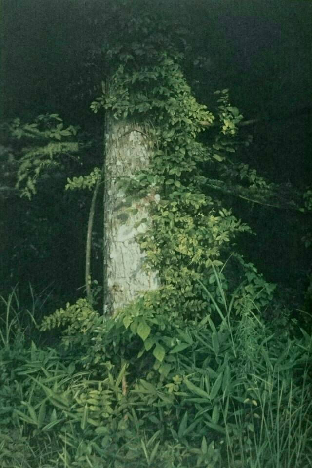 写実絵画の魅力』を読む : ART de 余生予後〜闘病余話〜