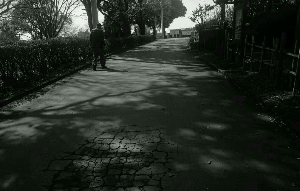 老いに抗う散歩道 Hike De 俳句 老いに抗う散歩道 Hike De 俳句