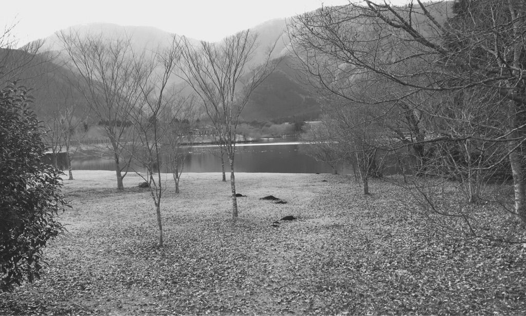 妖精達が舞う湖 09 03 17 Hike De 俳句