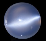 52_ms2wiki