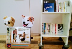 IMG_20171009_113254~2