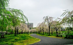 IMG_20160411_080302 (2)