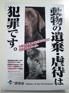 sutenekoposuta-