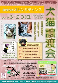 ������ϲ������󥸥����2019