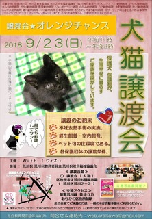 �ǽ��Ǿ��ϲ������󥸥����2018������