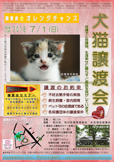 2018����ǭ���ϲ񸺿�