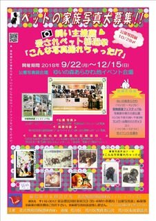 H30�̿�Ÿ�ݥ����������饷 ����1