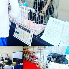 IMG_20190923_094327_871